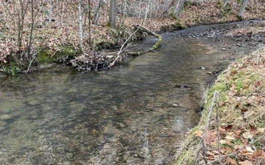 41 Unrestricted and Surveyed Acres in Surgoinsville, TN