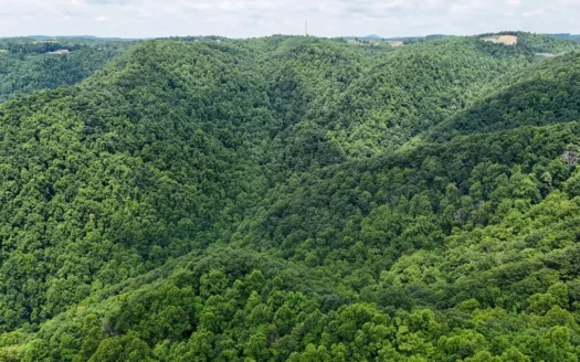 187.43 Acres Of Land Located In Patrick County, Va