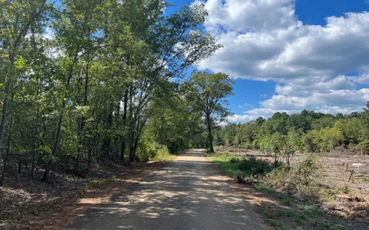 Investment and Recreational Land For Sale Near Reader