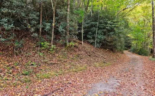 Land for Sale in Smyth County VA