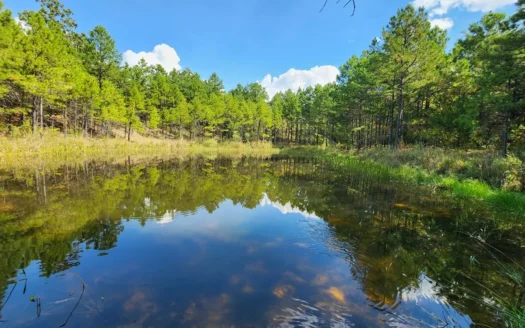 470 Acre Recreational Property Adjoining National Forest