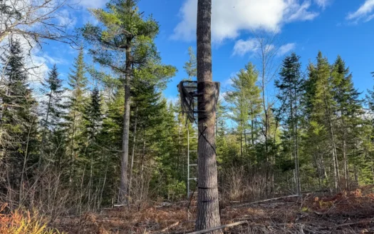 13.9 Acre Surveyed Parcel – Passadumkeag, Maine