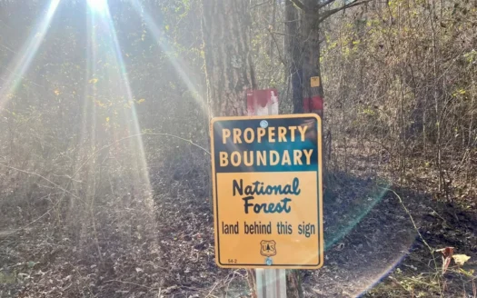 Hunting Land Bordering National Forest For Sale In Arkansas