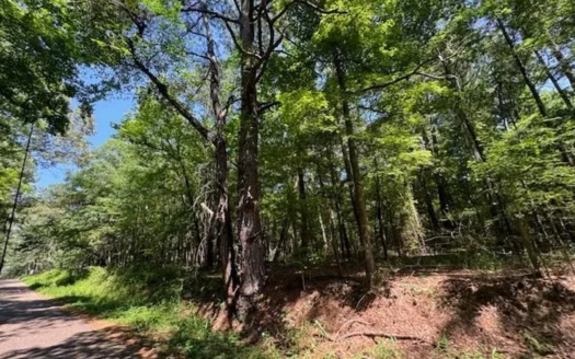 Hallsville Texas Land For Sale