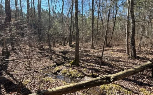 Acreage For Sale in Sequatchie County!