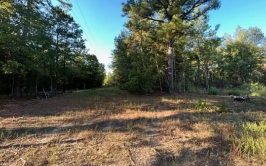 Hunting and Recreational Land In Upshur County