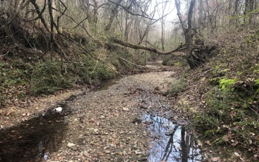 12 Acres of Wooded Land in Northeast Texas