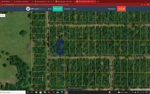 Land For Sale near Lake in Arkansas