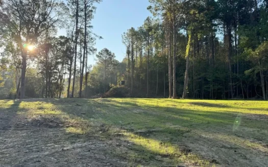 296 Acre Timberland for Sale with Creek Southwest MS