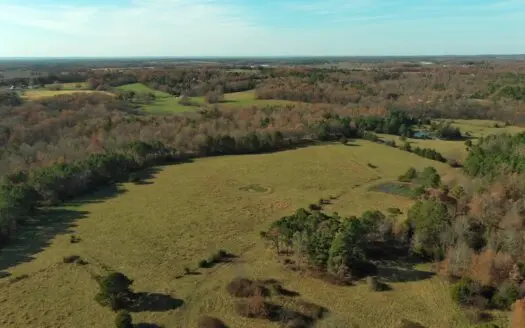 Land for Sale in Raymondville, Missouri