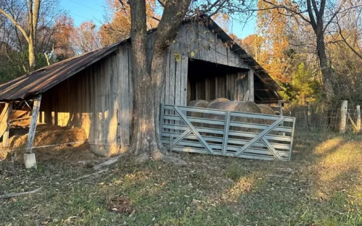 For Sale: 29.2 Acres in Logan-Rogersville School District