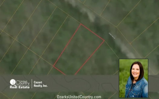 Vacant Land in Taney County, Missouri