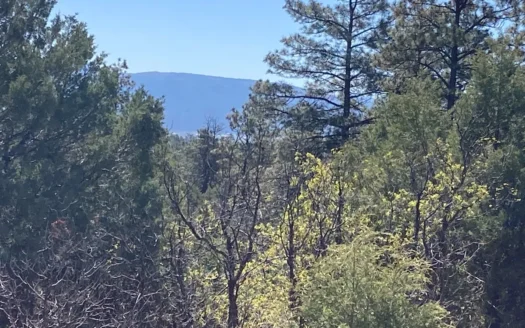 Beautiful Mountain Property Near Chama New Mexico
