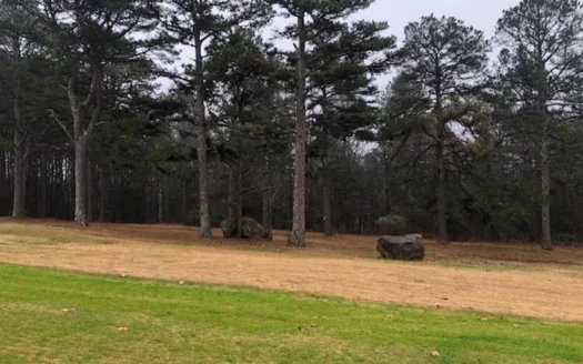 Residential Lot For Sale on the Mountain Ranch Golf Course