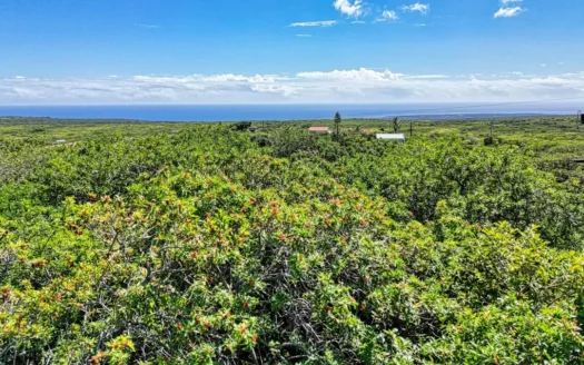 Wooded lot with possible ocean views on Big Island Hawaii