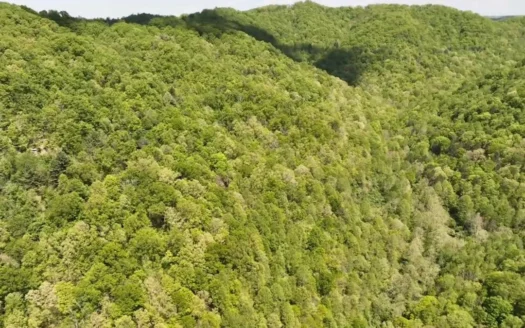 Wooded Land for Sale in Buchanan County VA