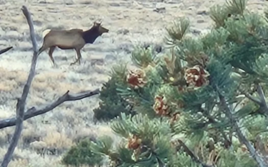 Northern New Mexico Land for Sale near Taos, NM