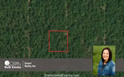 Land For Sale near Lake in Arkansas