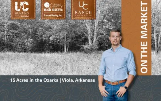Acreage with Utilities for sale in the Arkansas Ozarks