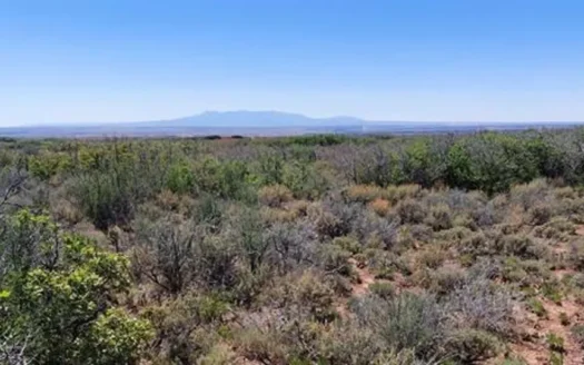 40 Acres For Sale in Dove Creek, Colorado!