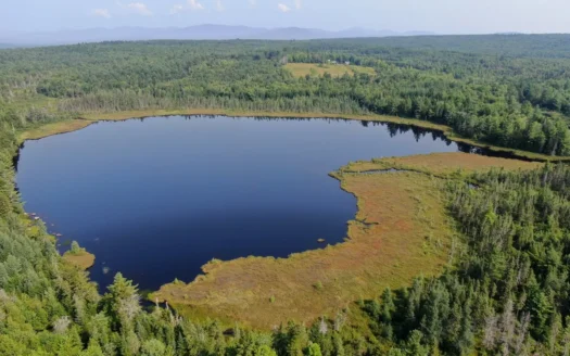 175 Acres of Beautiful Waterfront Land