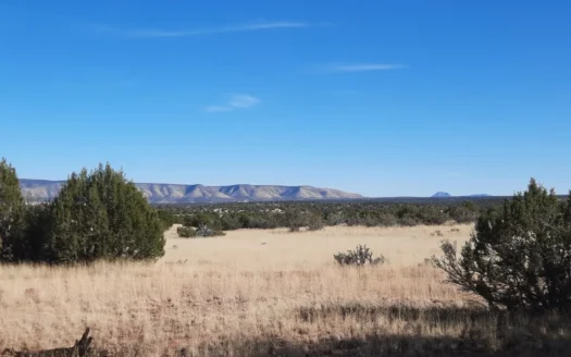 FANTASTIC Rural off grid Northern AZ property.