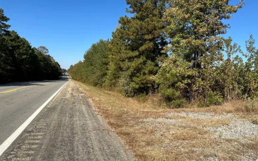 Land For Sale on US HWY 425 near Fountain Hill, AR