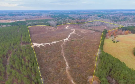 Hunting Land In Ouachita Parish Louisiana For Sale