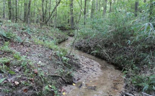 37 acres ready for your dream home in peaceful Oxford, GA