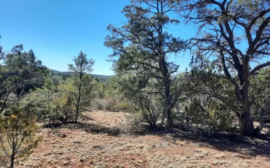 Nice Northern Arizona off grid property