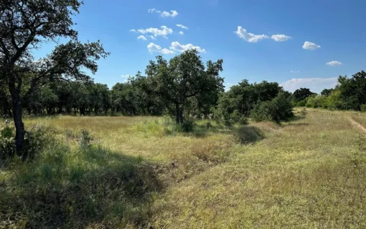 Home Lot 153 Kings Point Cove Resort Lake Brownwood TX