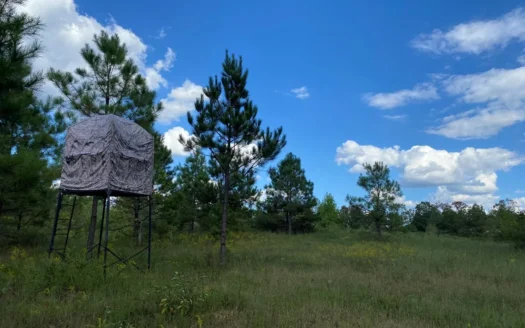 Land For Sale In Tn, 30.53Ac+/-, Old Home, Hunting, Creek