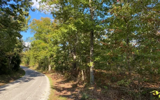 Land For Sale In Tn, 25.8 Ac+/-, Hunting, Wooded Land, Creek