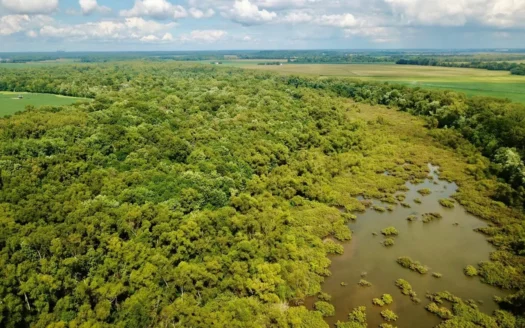 79 Acre Hunting Haven outside of Griffin, IN