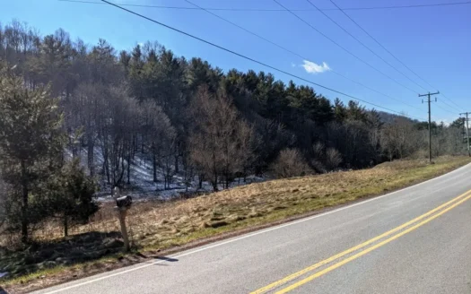 Hunting Property for Sale in Bland VA