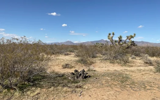 Land in NW Arizona, backs to State Trust and Mineral Rights OWC