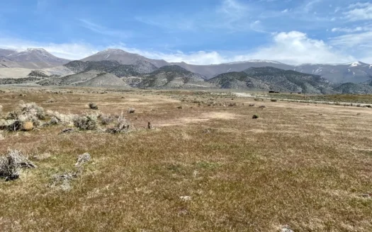 9.98 Acre Residential Lot Near State Recreation Area