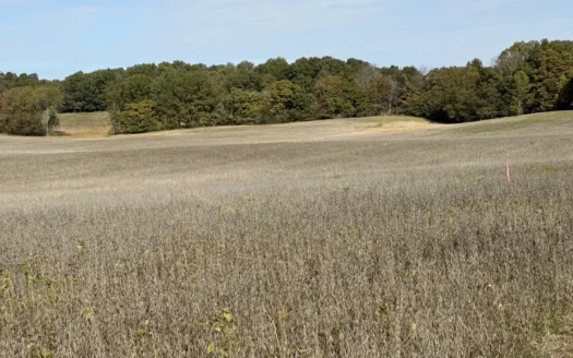 56.76 Acres of Cropland, Woodlands & Building Sites