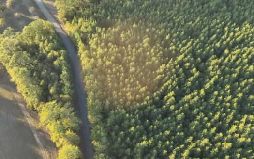 Large Diverse Timberland W/ Creek for Sale near Pitkin, LA