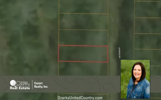 Lake Lot for Sale in Rockaway Beach, Missouri