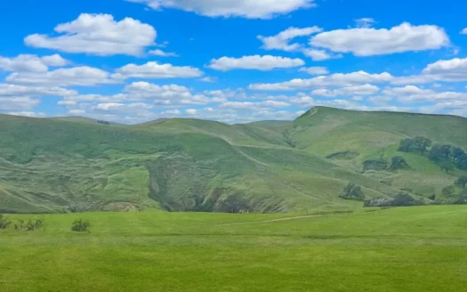 Land Investment Opportunity in Esparto, CA