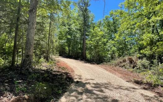 Land For Sale Near River In Eminence Missouri