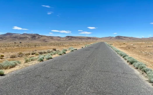 Land for Sale Near Lovelock, NV