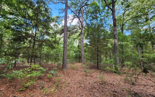 Kiamichi Mountain Recreational Property