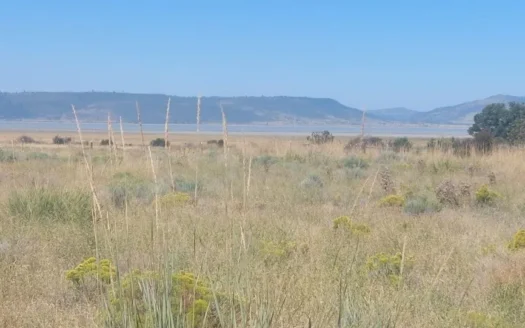 1.84 Acres w/Electricity/Phone/Northern, CA