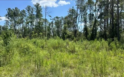 Live Oak Florida Suwannee River Proerty For Sale!!!