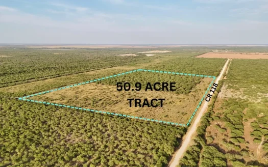 549 Acres in Jim Wells County TX