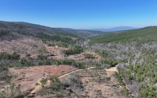 Southeast Oklahoma Timberland Property For Sale
