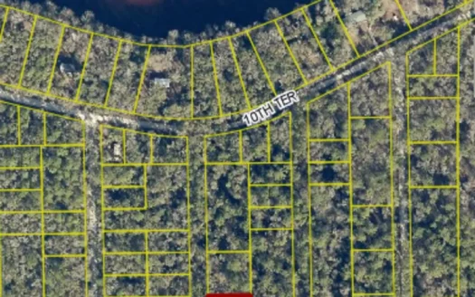 Land For Sale By The Suwannee River!