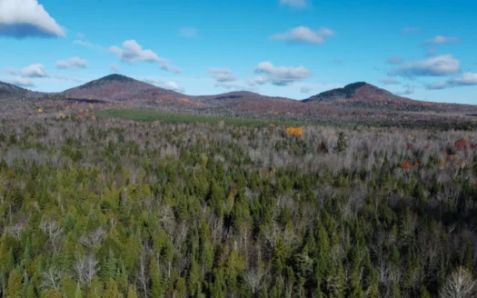 115± Acres with Trout Brook, Power & Paved Road Access